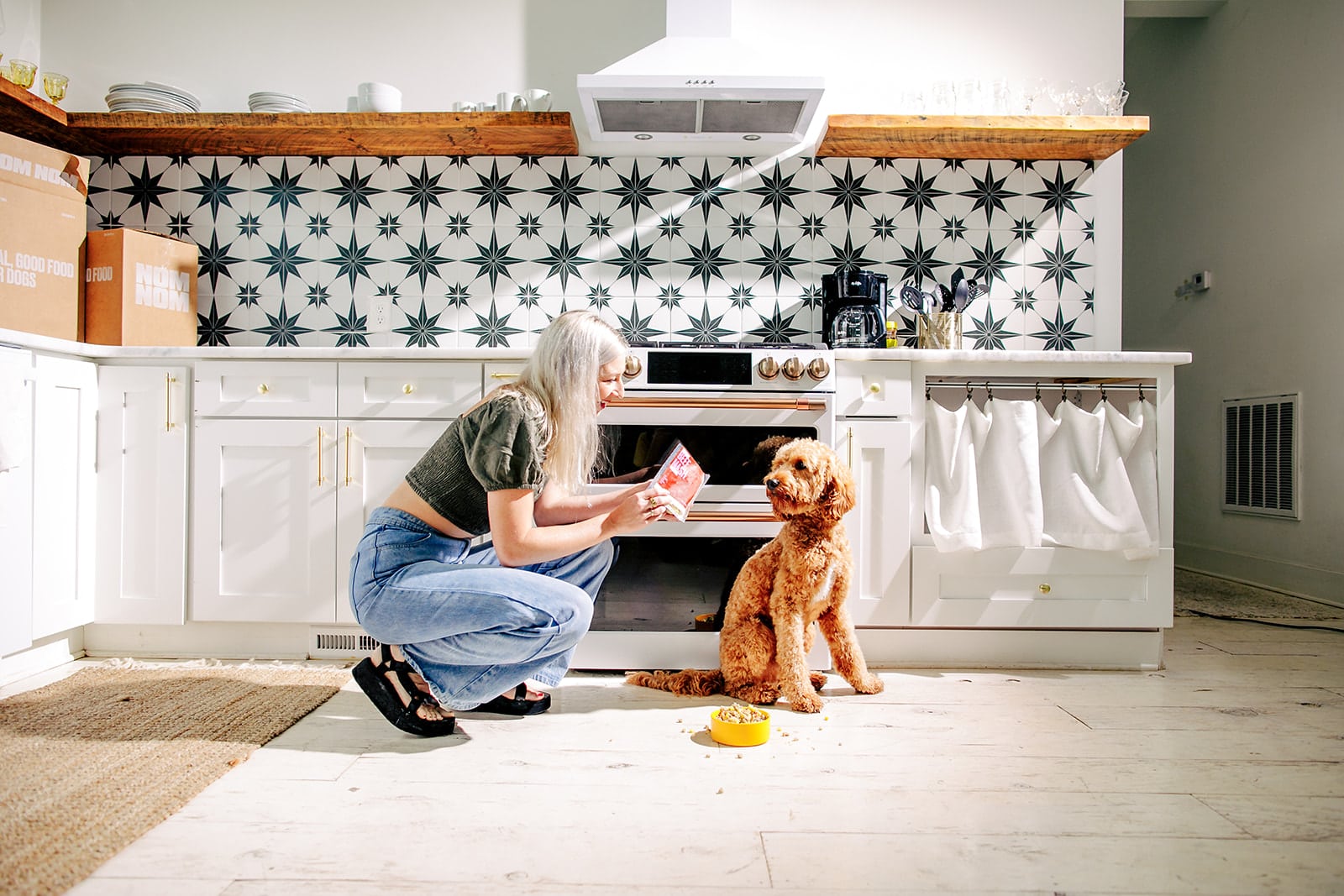 How Much Does Nom Nom Dog Food Cost? 2026 Update