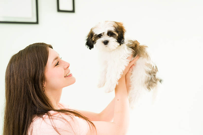 National Make a Dog’s Day 2026: When It Is & How to Celebrate