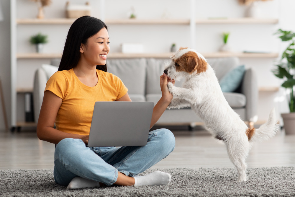 Dognition Test Review: What Is It & How Does It Work? (Vet-Verified)