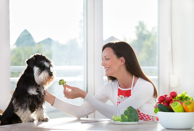 10 Foods With Vitamin C for Dogs: Vet Reviewed Nutrition Facts & Info