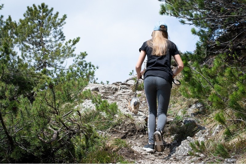 8 Dog-Friendly Hiking Trails in Northern California You Can Visit (2026 Guide)