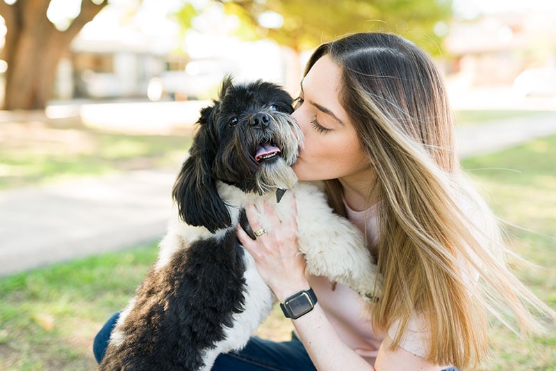 Do Dogs Understand Kisses? What The Science Tells Us