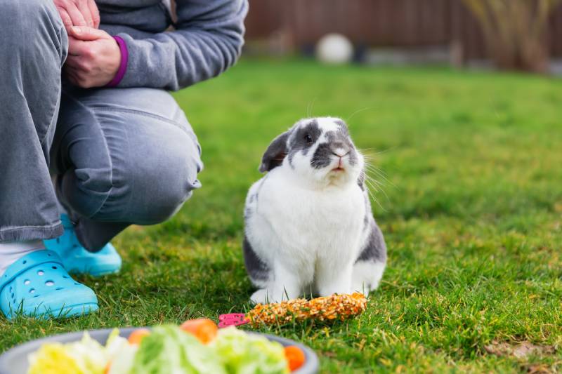 woman kneels beside a pet rabbit