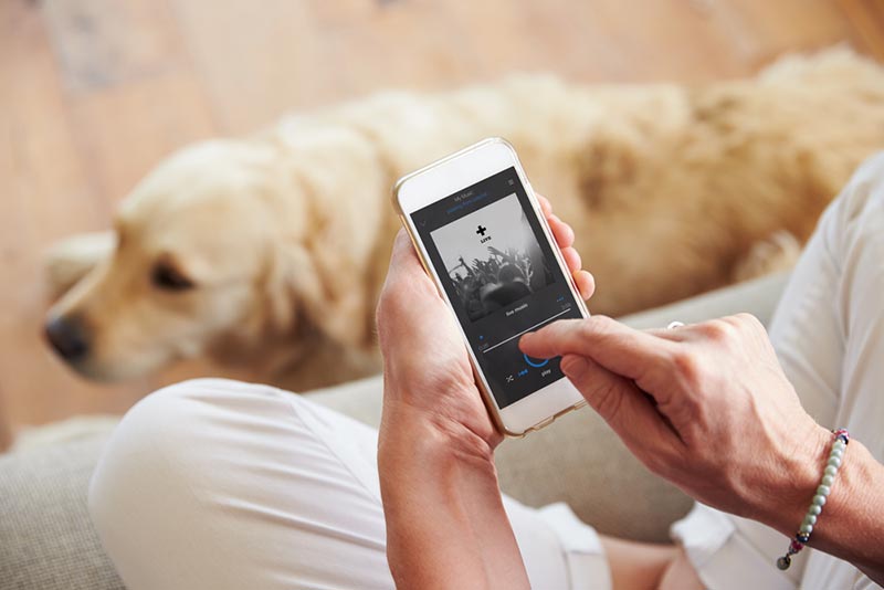 Will Classical Music Calm My Dog? Vet-Reviewed Facts & FAQ