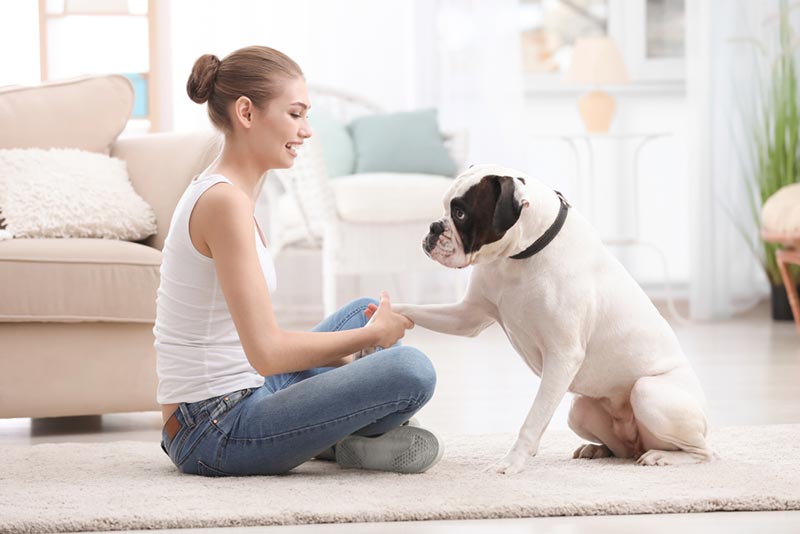 15 Fascinating Dog & Human Relationship Facts (You Never Knew!)