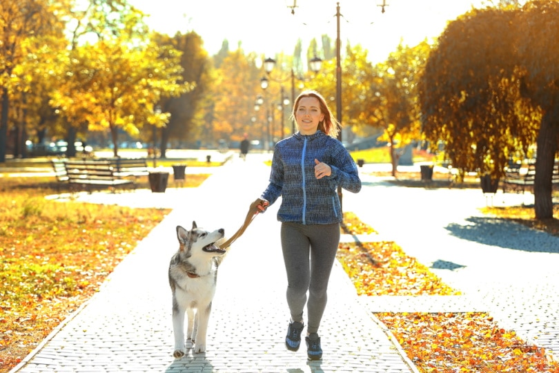 When Can You Start Running With Your Puppy? Vet-Approved Facts & FAQ