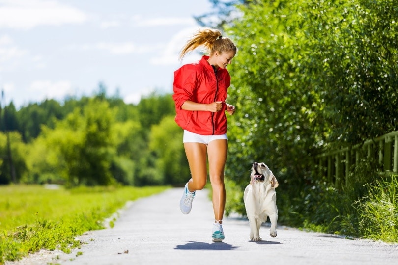 Do Dogs Need to Run? 8 Vet-Approved Tips