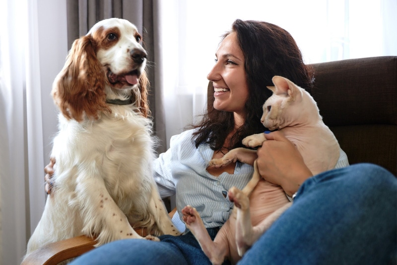 19 Pet Ownership Statistics In Ohio (Updated In 2026)