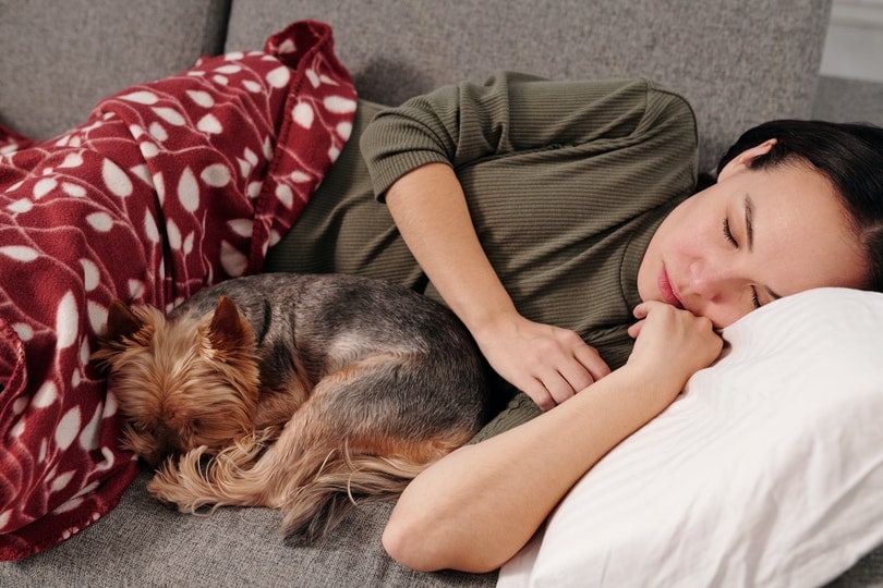 Do Dogs Like Sleeping With Their Owners? Vet-Approved Info & Facts