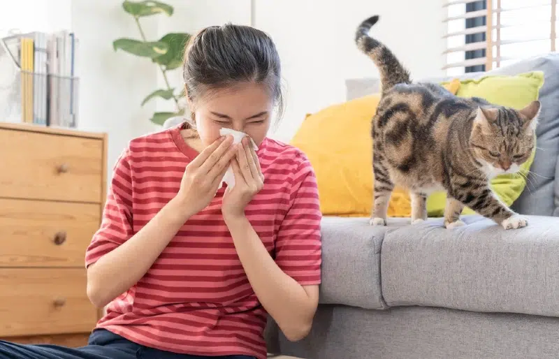 Can You Be Allergic to Cats But Not Dogs? (Vet Answer)