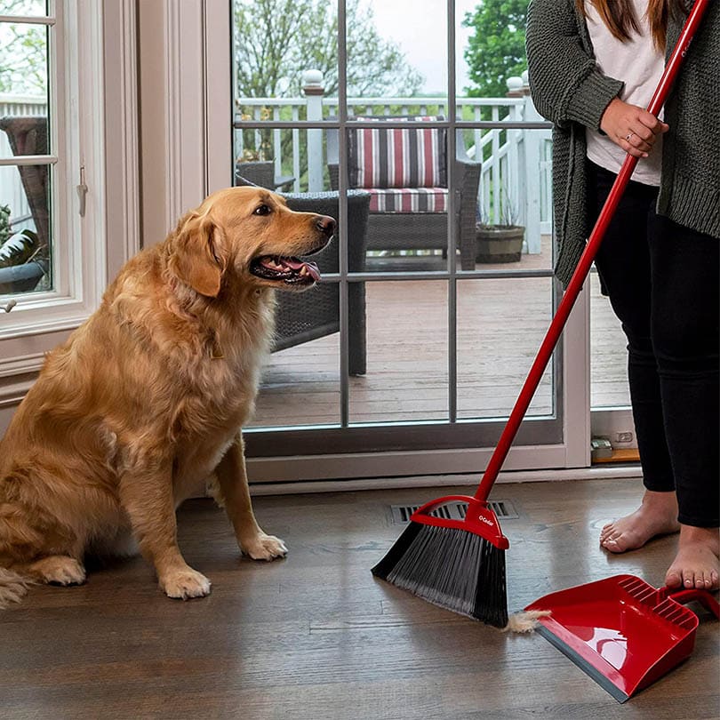 8 Best Brooms for Dog Hair in 2026 - Reviews & Top Picks