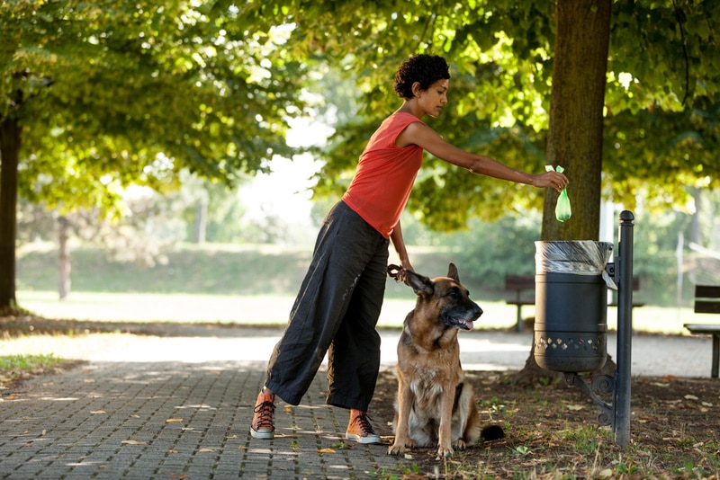International Pooper Scooper Week 2026: What Is It? Here's How to Celebrate