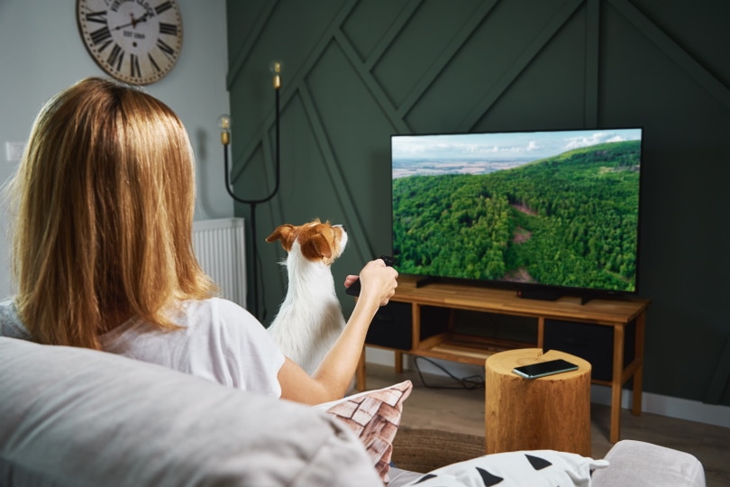 Do Dogs Like to Watch TV? Vet-Approved Facts & FAQ