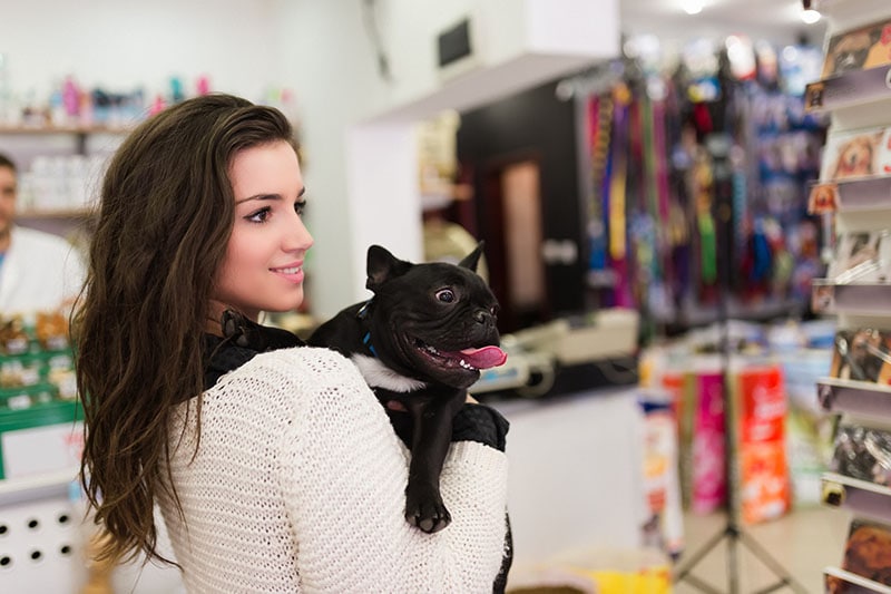 Are Dogs Allowed in Kohl’s in 2026? Pet Policy & FAQ