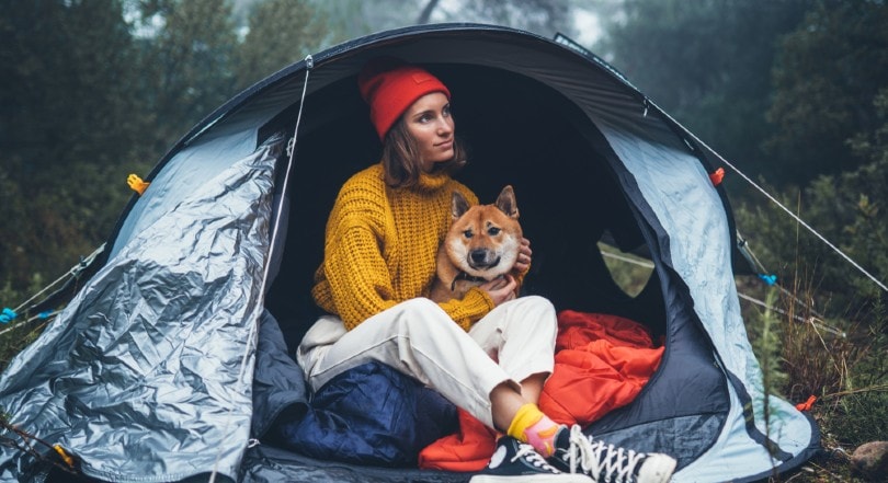The Ultimate Checklist for Camping with Your Dog (With Tips)