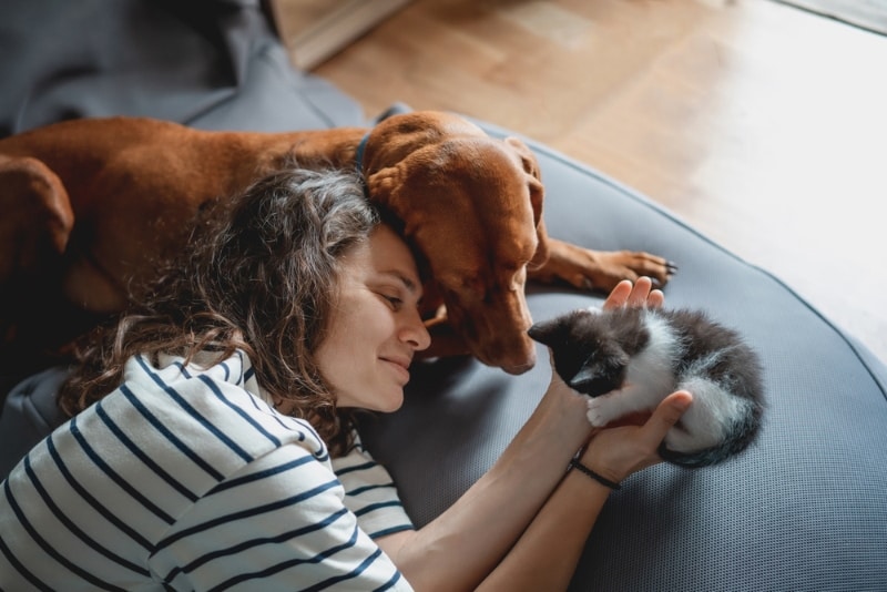 young woman lying at home with her dog and cat
