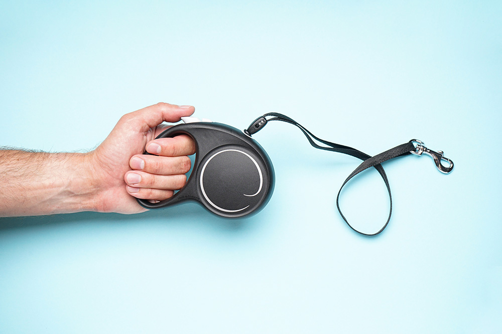 How Does a Retractable Leash Work? 8 Vet Approved Tips & FAQ