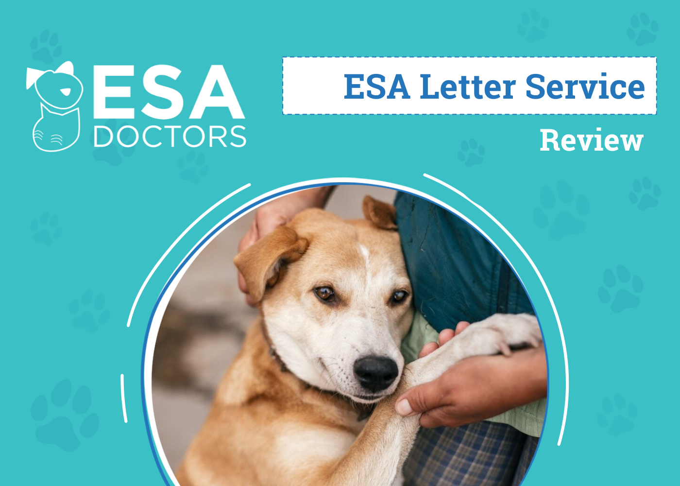 ESA Doctors Letter Service Review 2026: Our Expert’s Breakdown