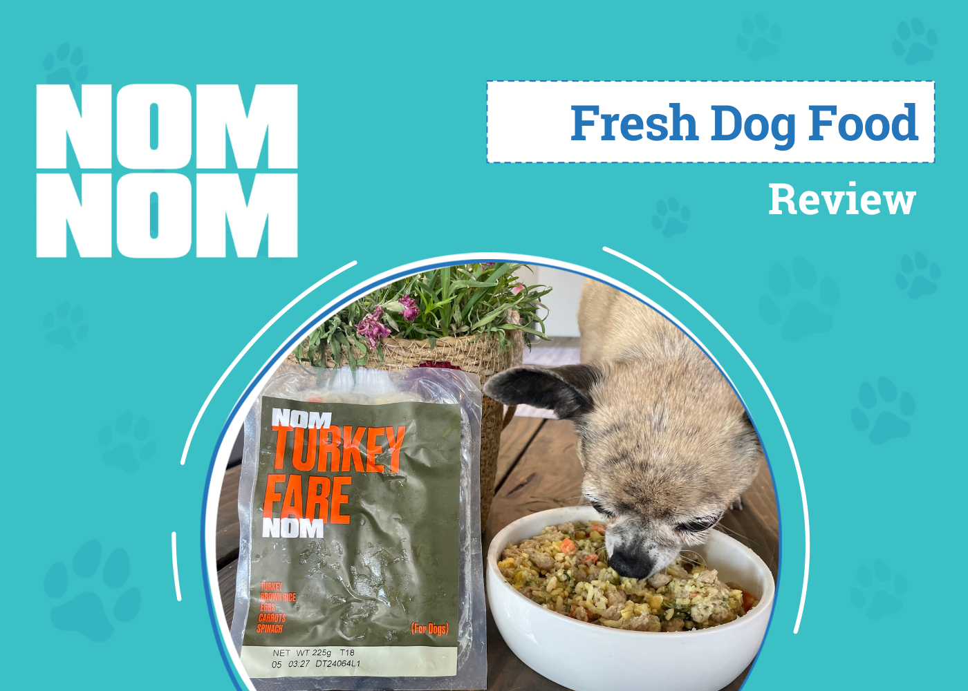 Nom Nom Dog Food Subscription Review 2026: Our Expert’s Breakdown