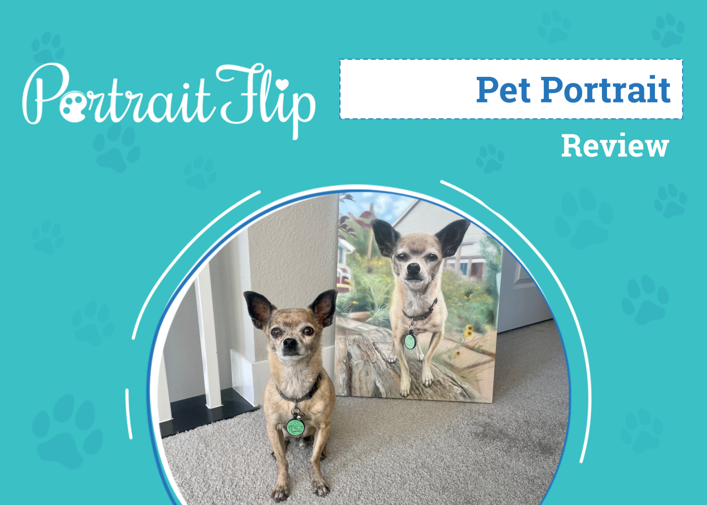PortraitFlip Pet Portrait Review 2026: An Expert's Breakdown