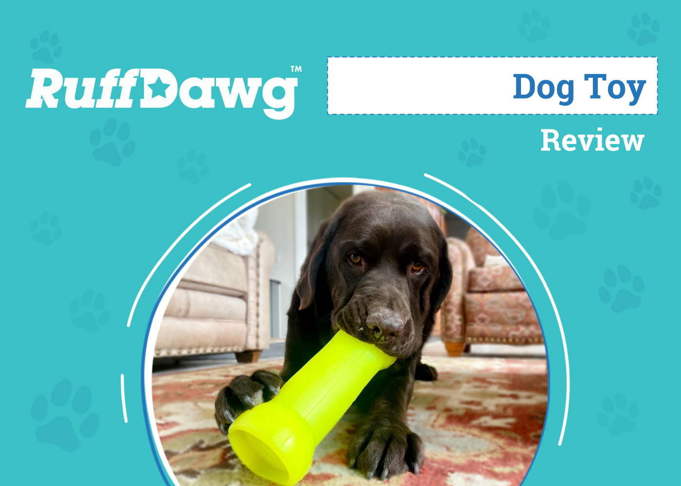 RuffDawg Crinkit Dog Toy Review 2026: An Expert's Breakdown
