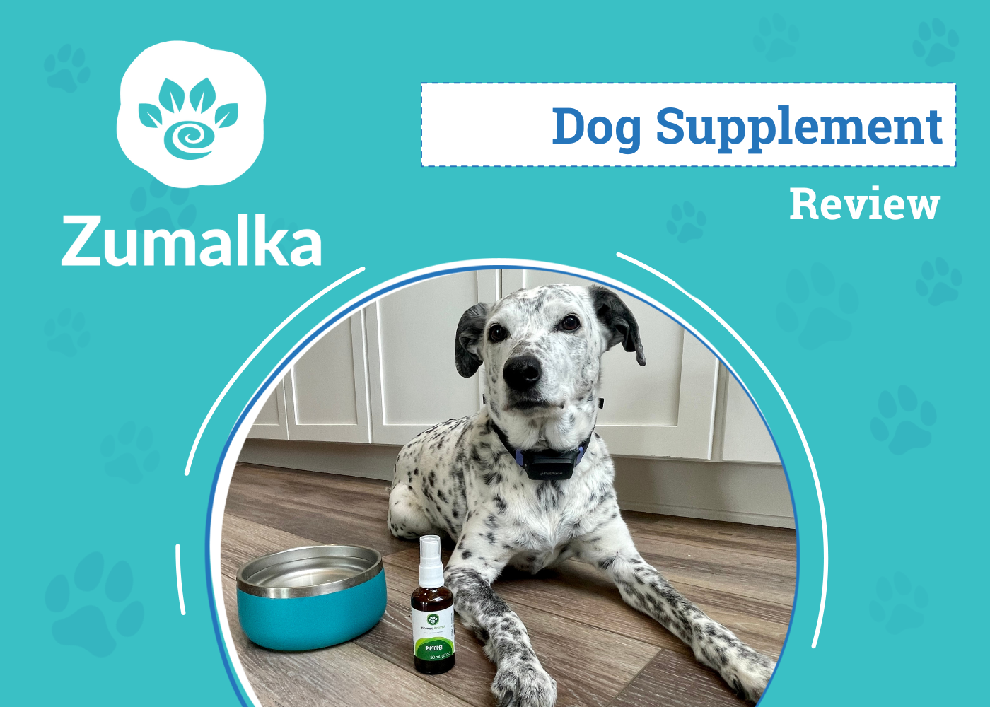 Zumalka Piptopet Supplement Review 2026: An Expert's Breakdown