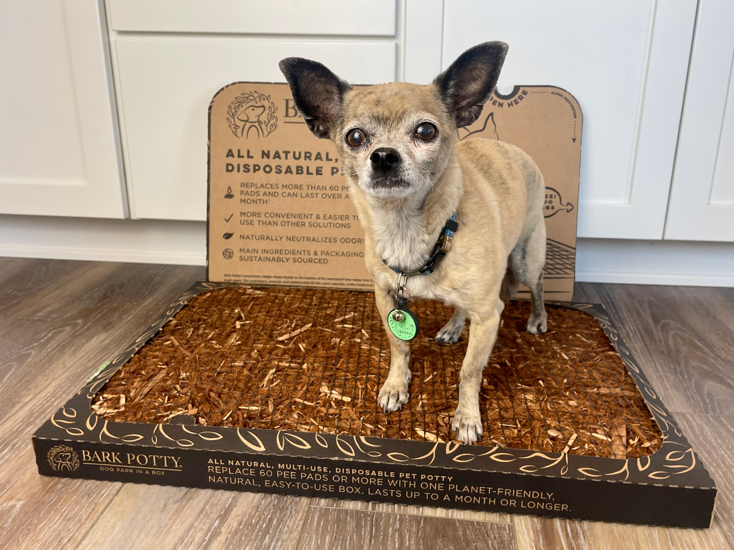 DoggieLawn Bark Potty - papyrus on the product