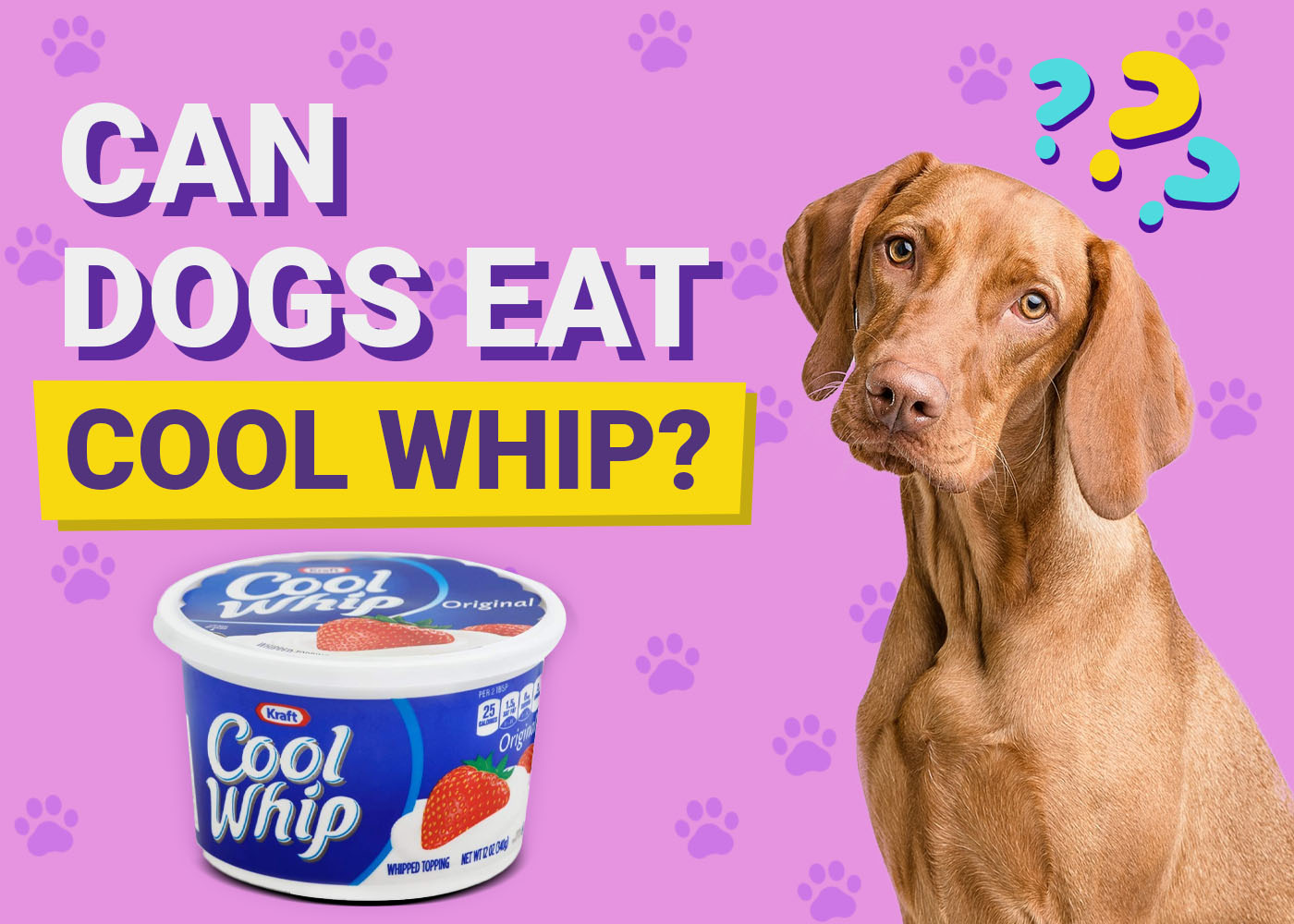 Can Dogs Eat Cool Whip? Vet Approved Facts & FAQ
