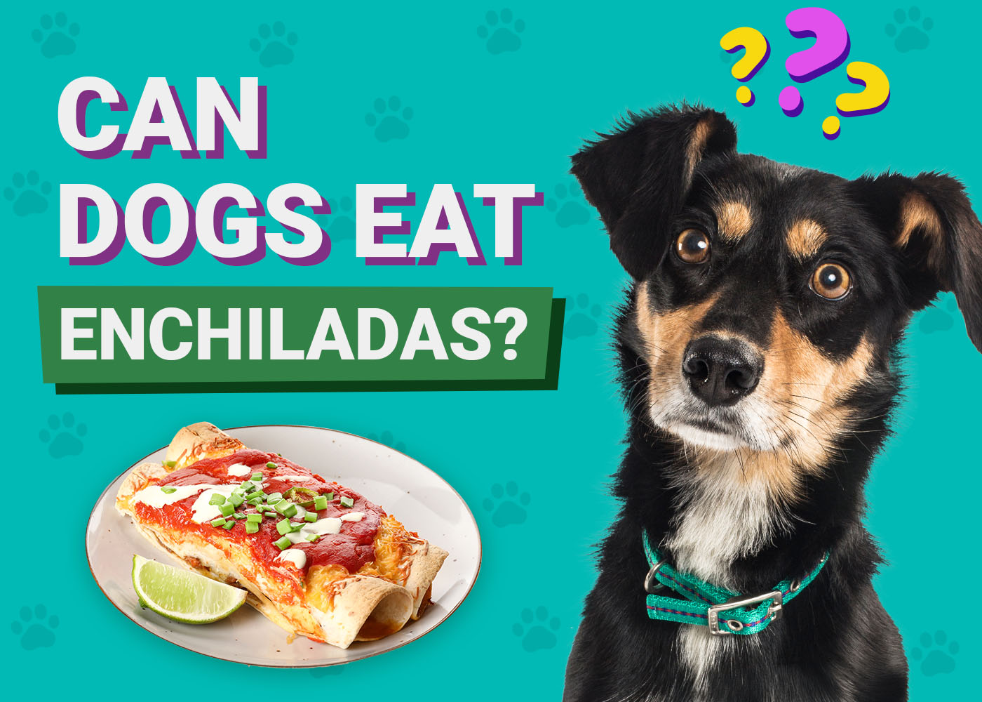 can dogs eat ranch dressing have Help! Dog ate some ranch dip : r/Sheepadoodles Trying a Hot Dog with