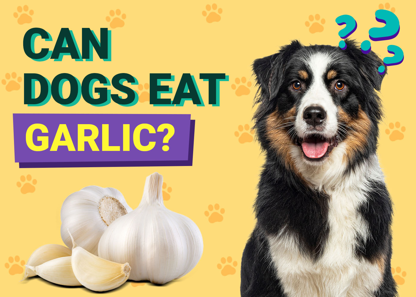Can Dogs Eat Garlic? Vet Reviewed Risks & Nutrition Advice