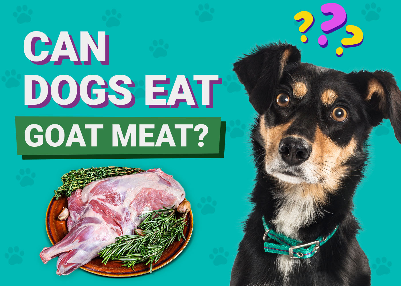 Can Dogs Eat Goat Meat? Vet-Approved Facts & FAQ