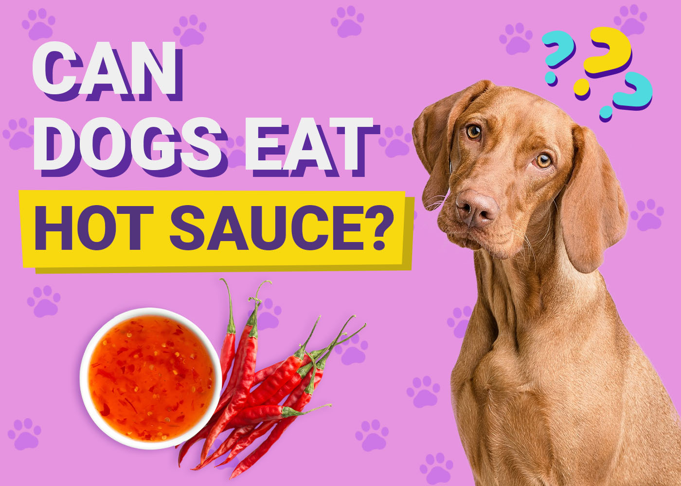 Can Dogs Eat Hot Sauce? Vet-Verified Health Facts