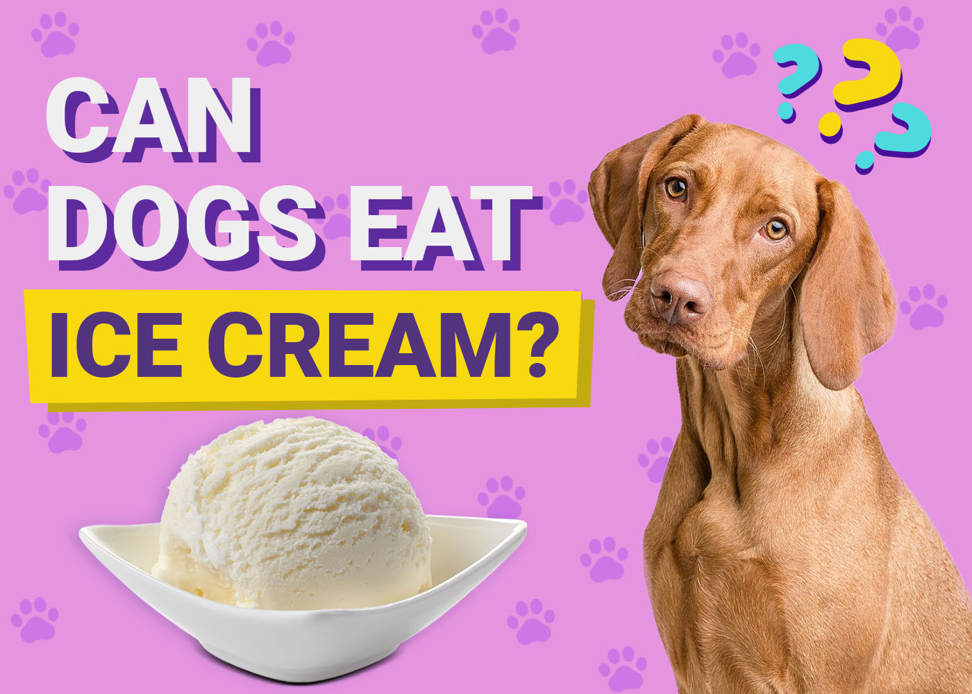 Can Dogs Eat Ice Cream? Vet-Verified Health & Safety Guide