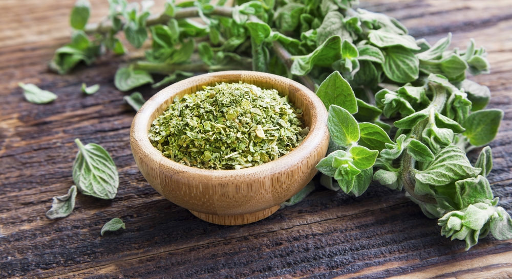 Can Dogs Eat Oregano? Our Vet Explains Nutrition Facts & Info