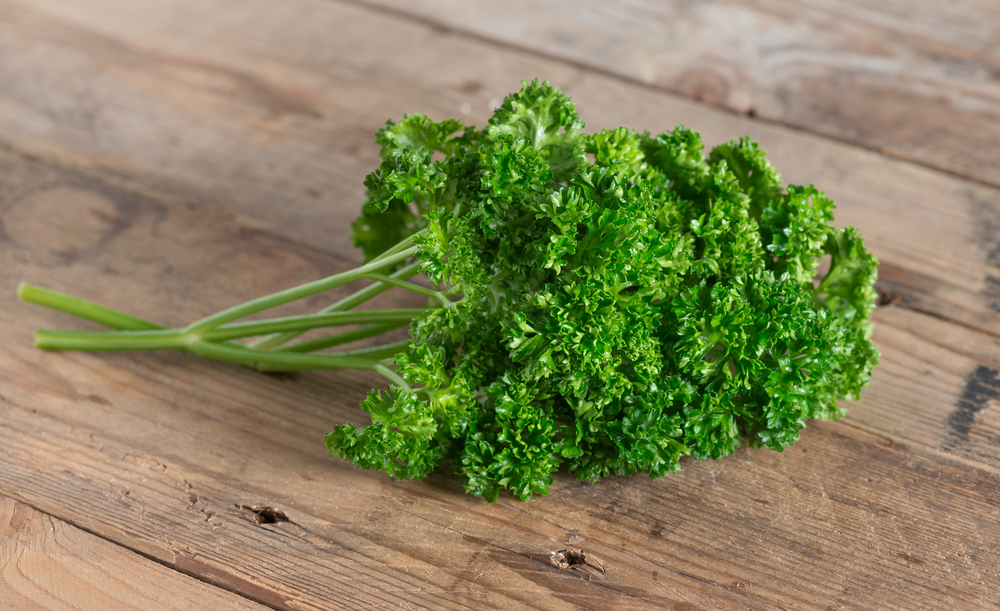 Fresh parsley on wood surface