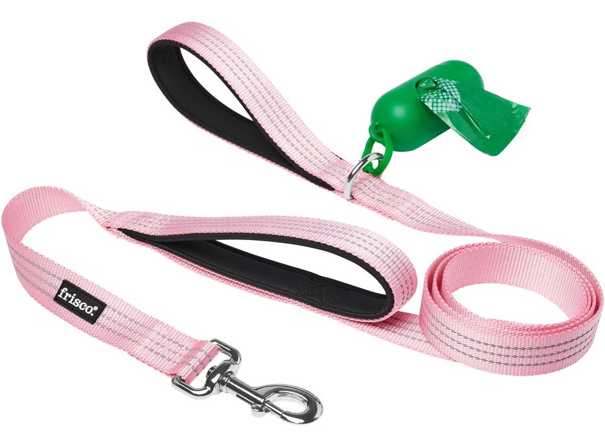 Frisco Traffic Leash with Dual Padded Handles & Poop Bag Dispenser