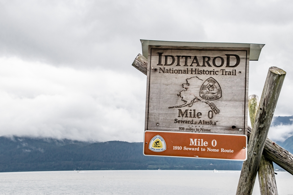 Poodles in the Iditarod: A Fascinating History