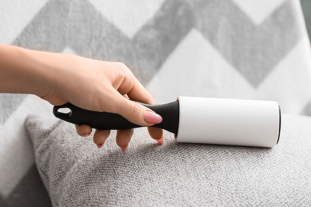 Can I Use a Lint Roller on My Dog? Vet-Approved Facts & FAQ