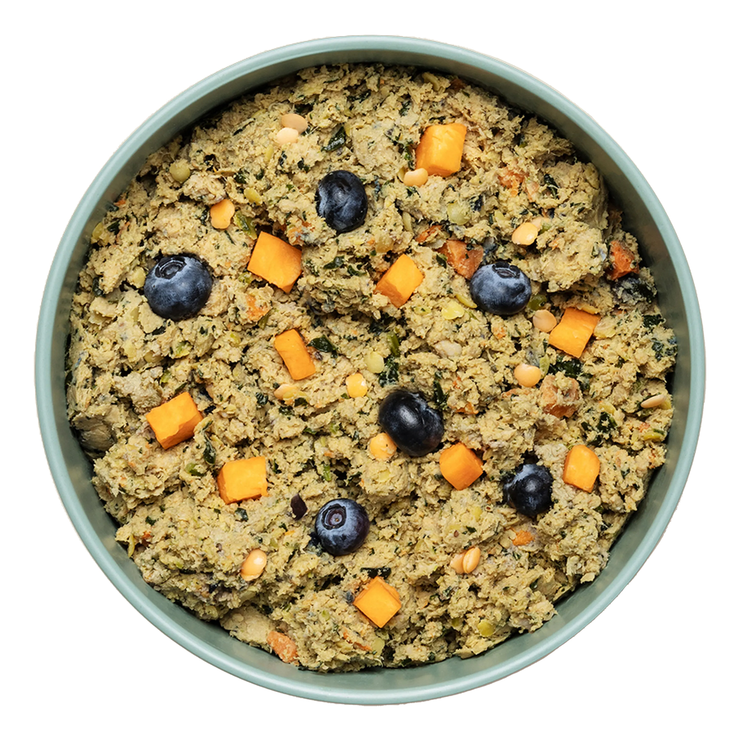 Ollie Fresh Turkey Dog Food