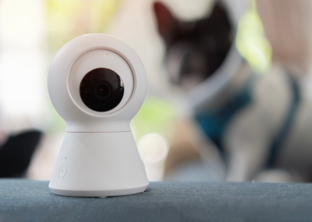 7 Best Pet Cameras for Dogs in 2026 - Reviews & Top Picks