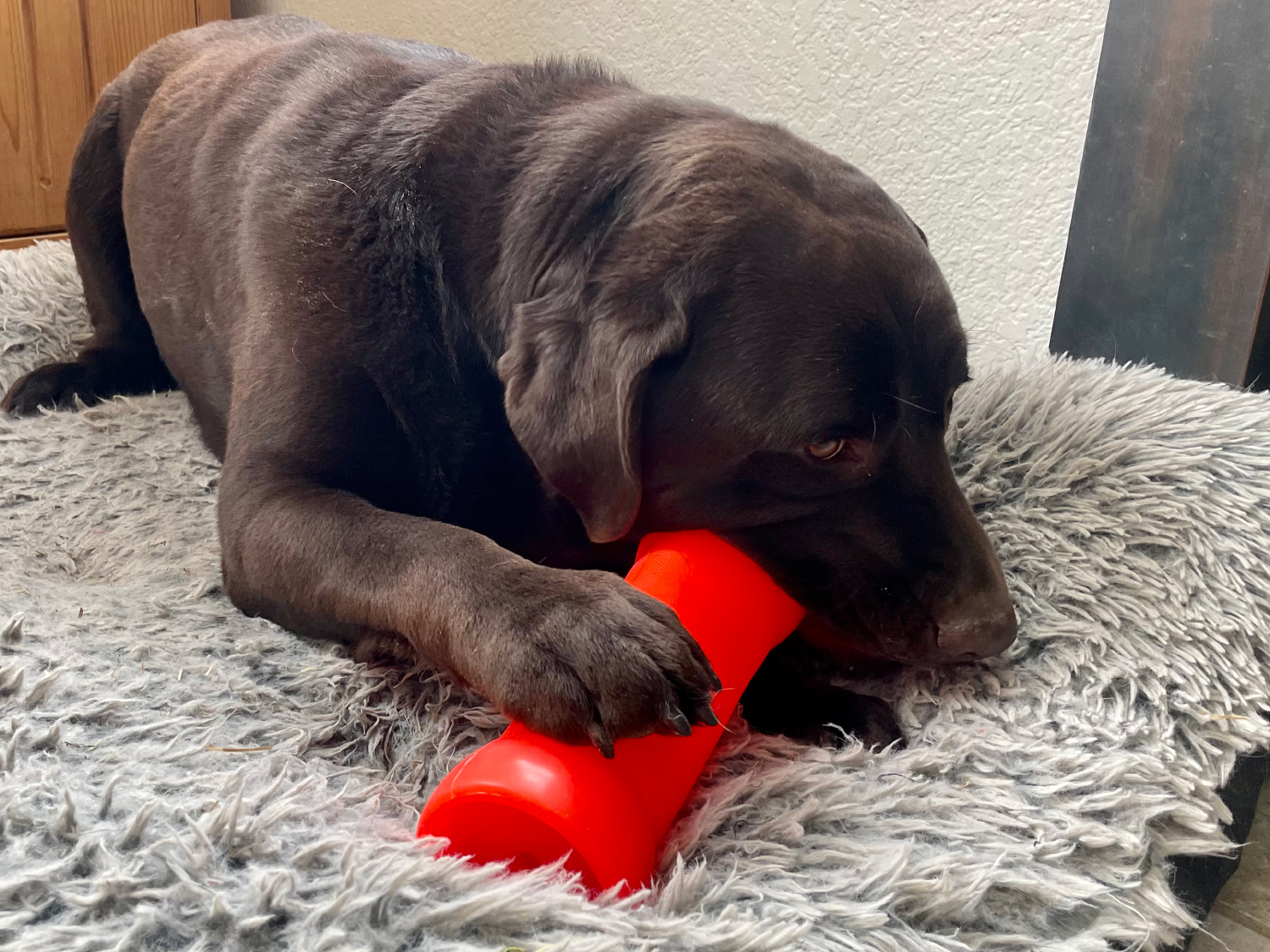 RuffDawg Dog Toys - dog playing with the toy