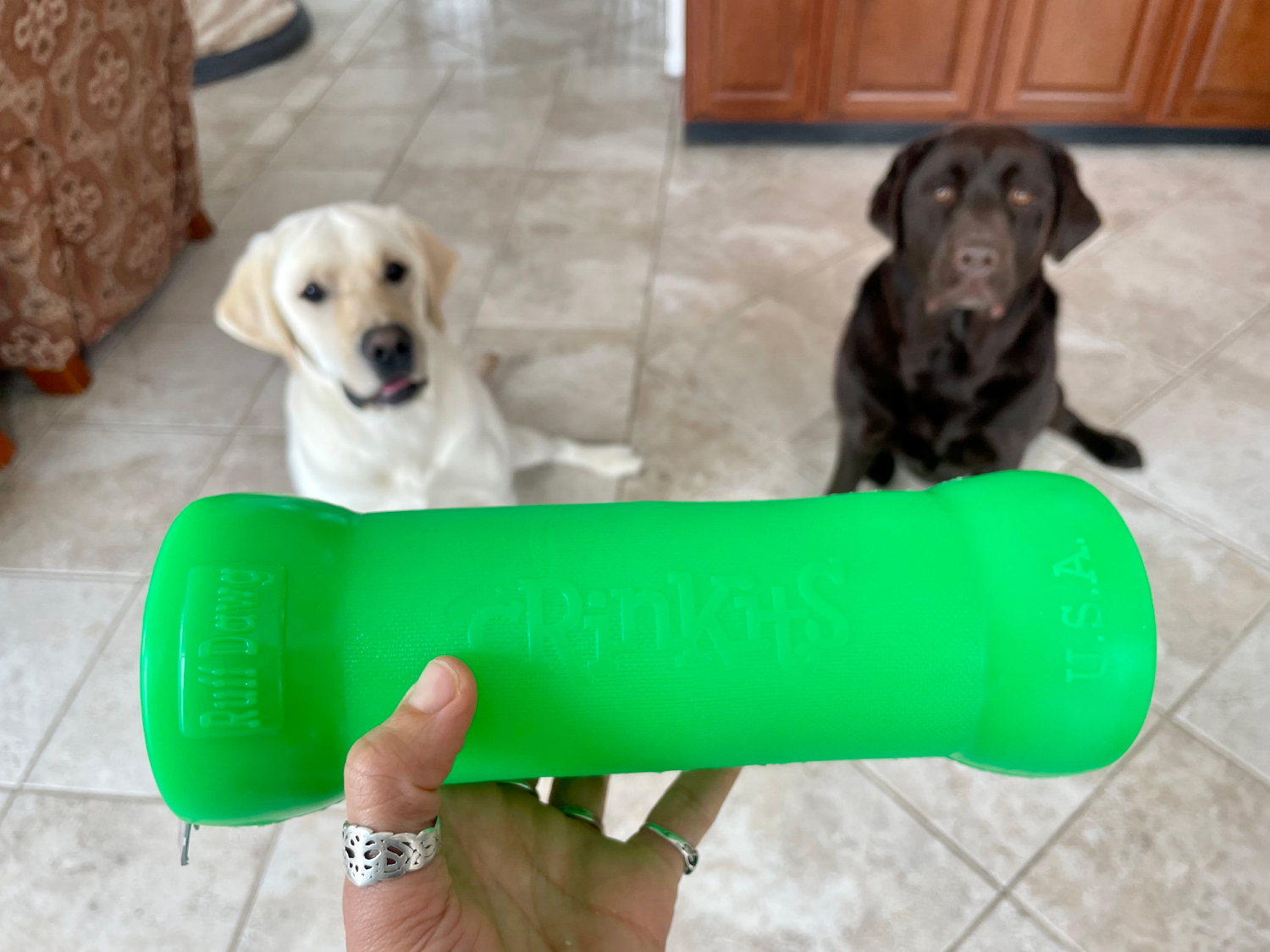 RuffDawg Dog Toys - showing the toy to the dogs