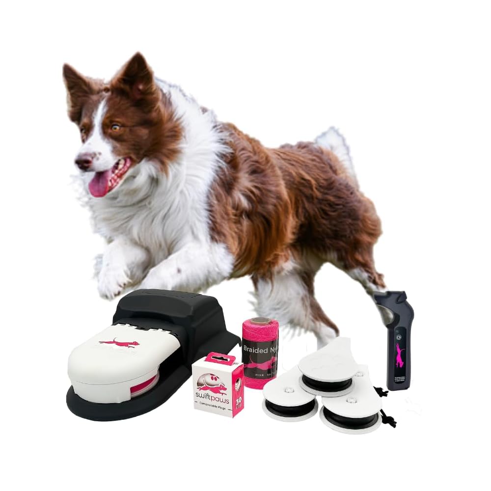 Swift Paws Home Original Enrichment Course