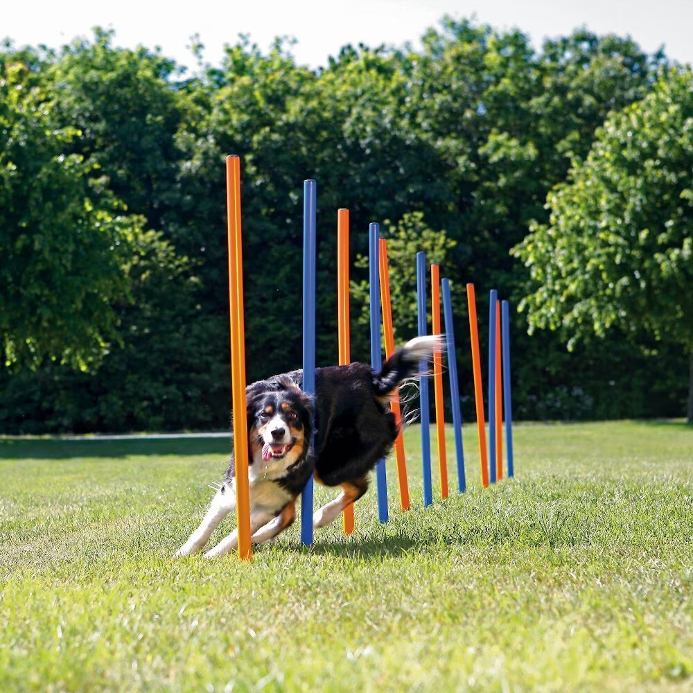 TRIXIE Agility Slalom Dog Training Poles