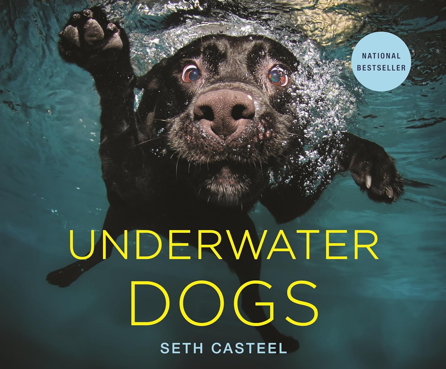 Underwater Dogs by Seth Casteel