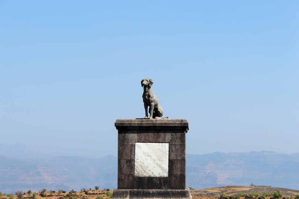 Waghya statue