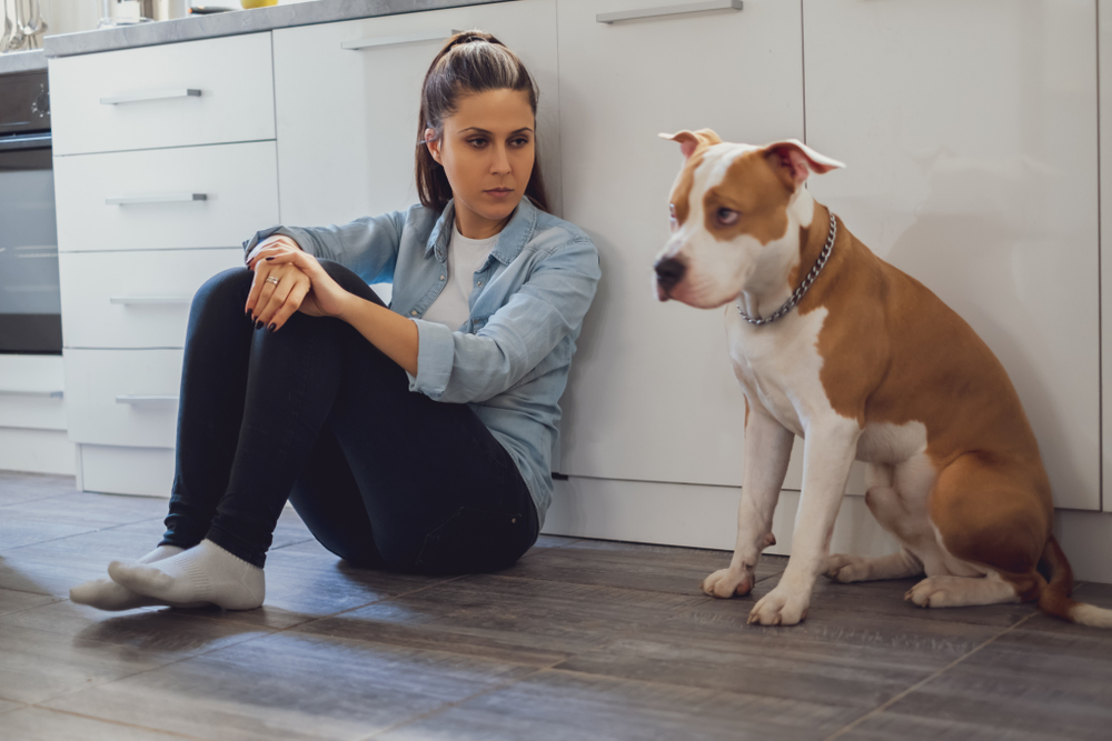 How to Find a New Home for My Dog: 6 Vet-Reviewed Rehoming Tips