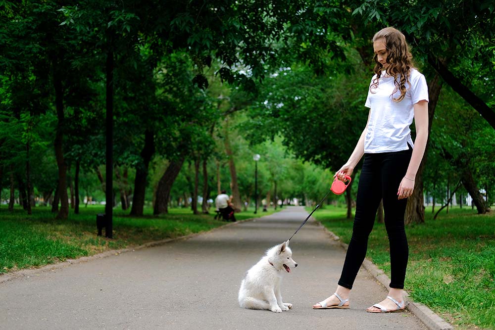Young girl is walking with her dog on a retractable leash on asphalt sidewalk