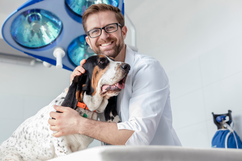 12 Jobs With Dogs: Ideas for a Canine-Centric Career