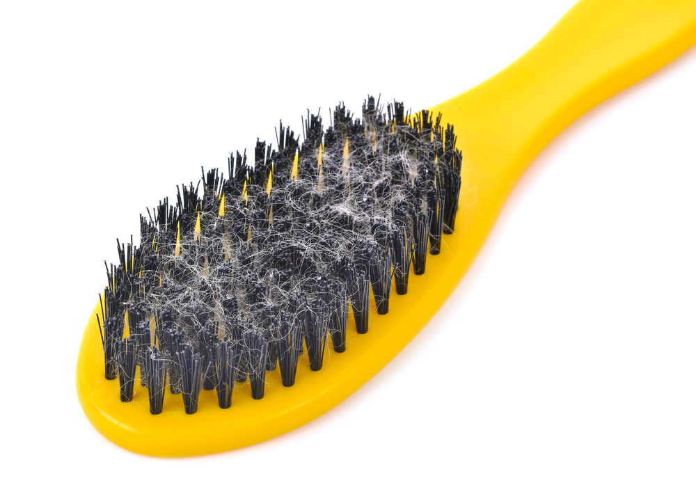 bristle brush for dog